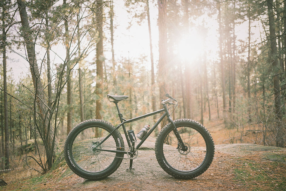 pinewood mountain bike price